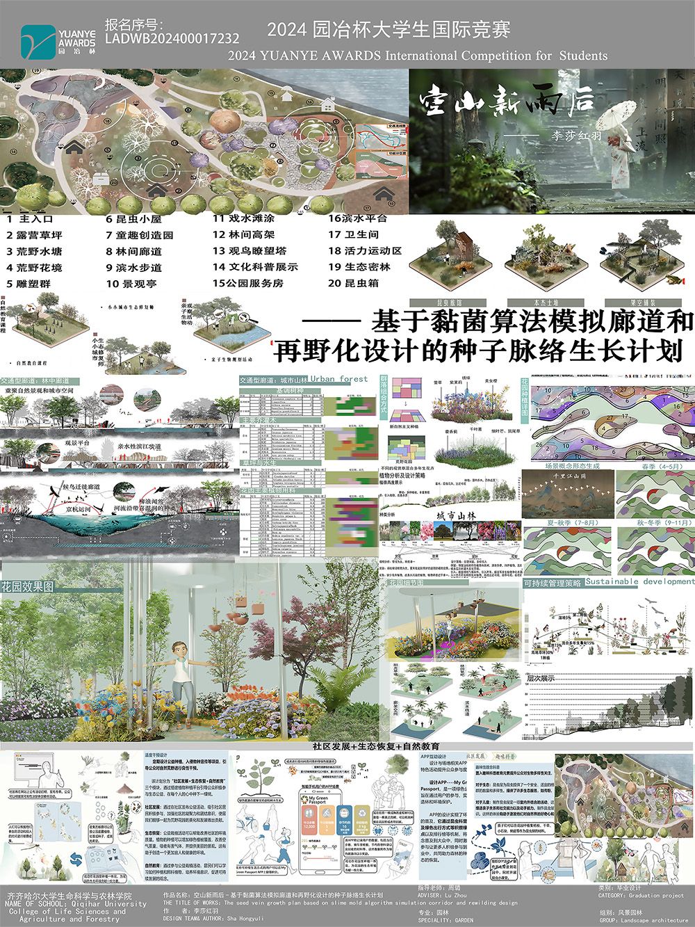 空山新雨后——基于黏菌算法模拟廊道和再野化设计的种子脉络生长计划