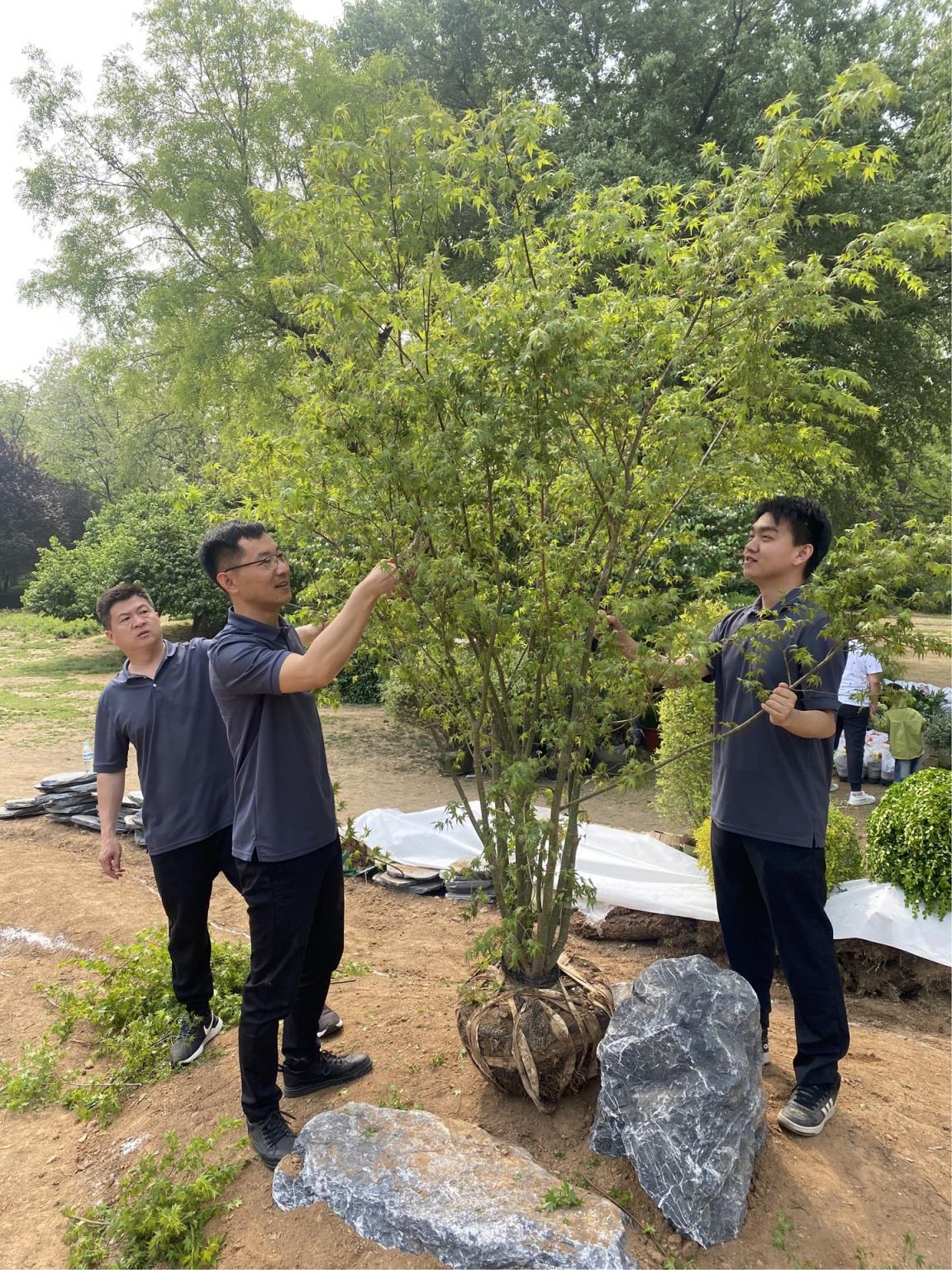 美丽泉城花样生活