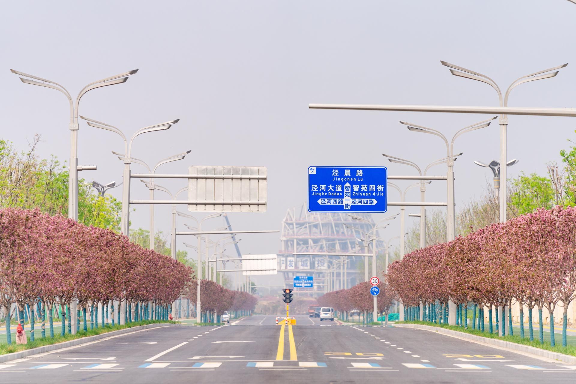 “一路一花， 一街一景” 泾河新城示范道路绿化景观项目