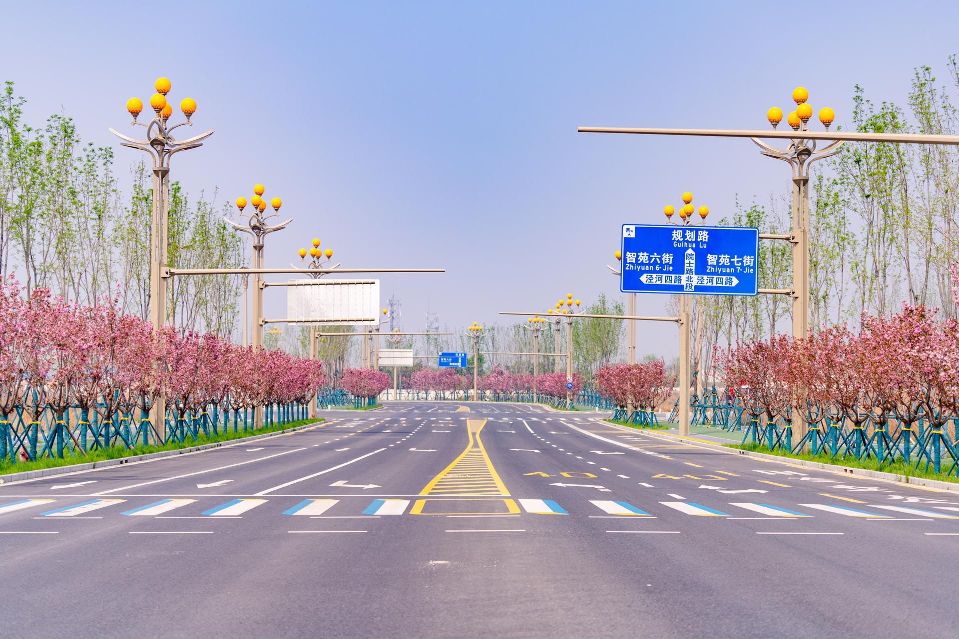 “一路一花， 一街一景” 泾河新城示范道路绿化景观项目
