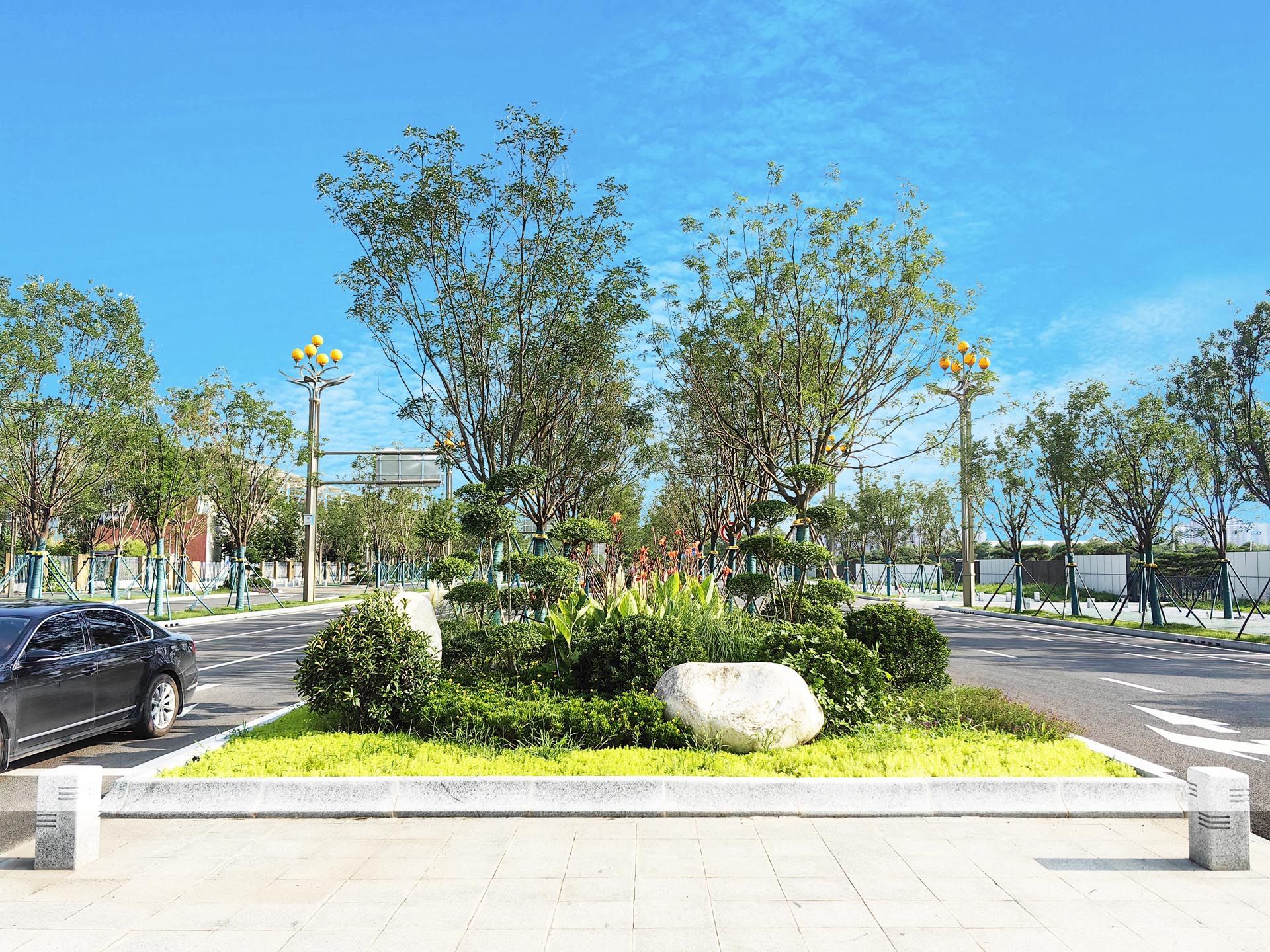 “一路一花， 一街一景” 泾河新城示范道路绿化景观项目