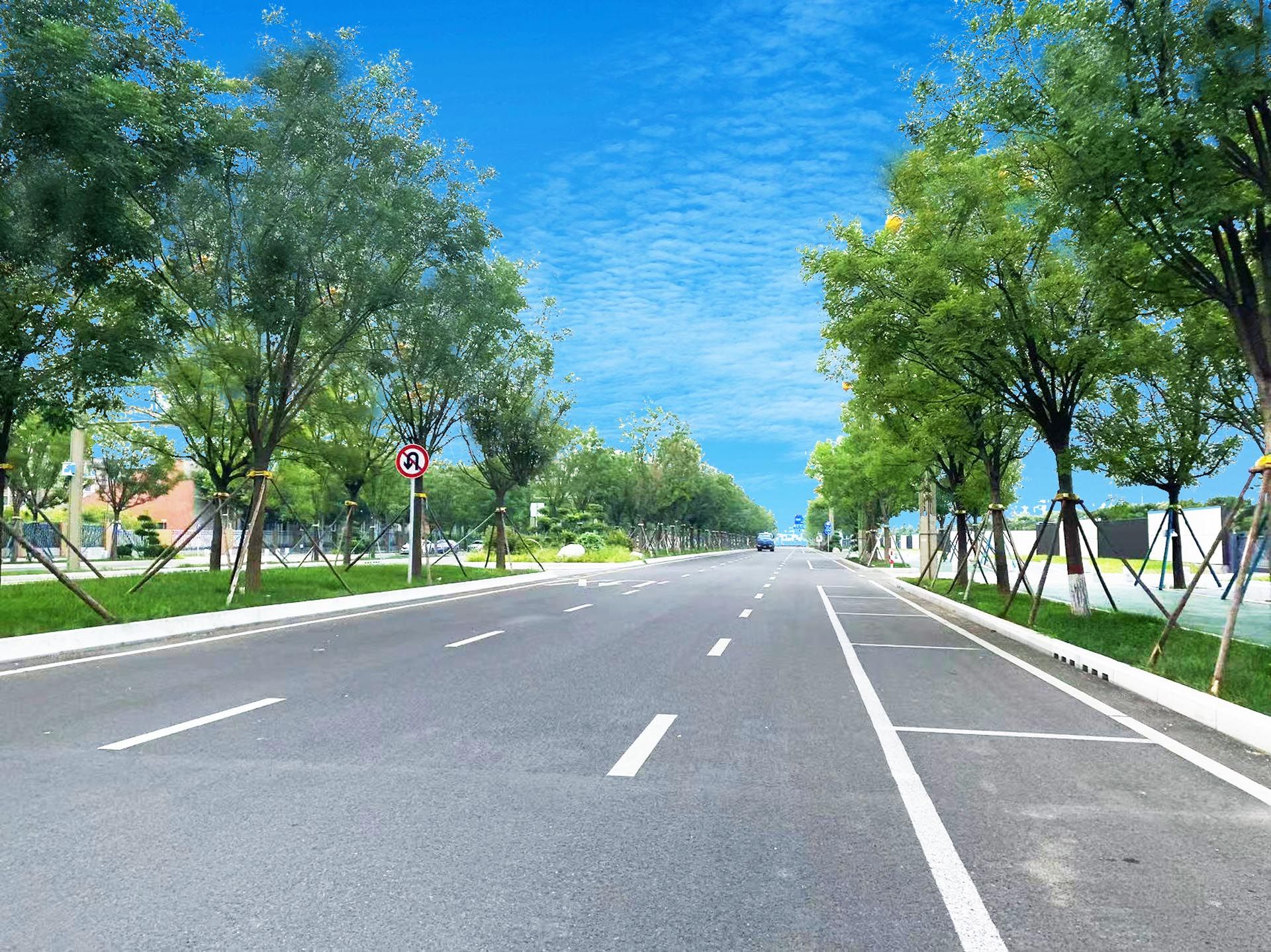 “一路一花， 一街一景” 泾河新城示范道路绿化景观项目