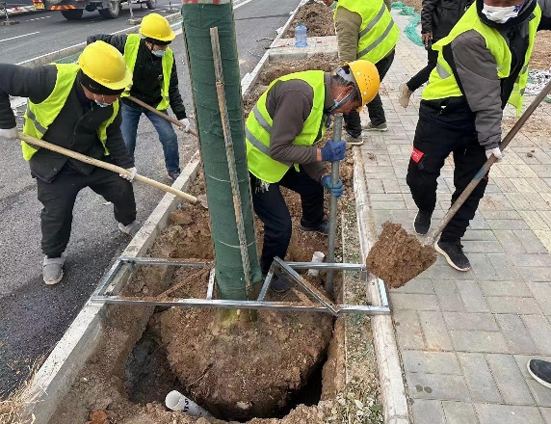 “一路一花， 一街一景” 泾河新城示范道路绿化景观项目