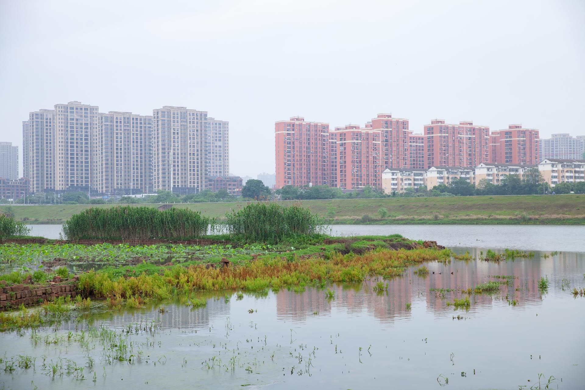 鹰西湿地公园二期环境综合治理工程