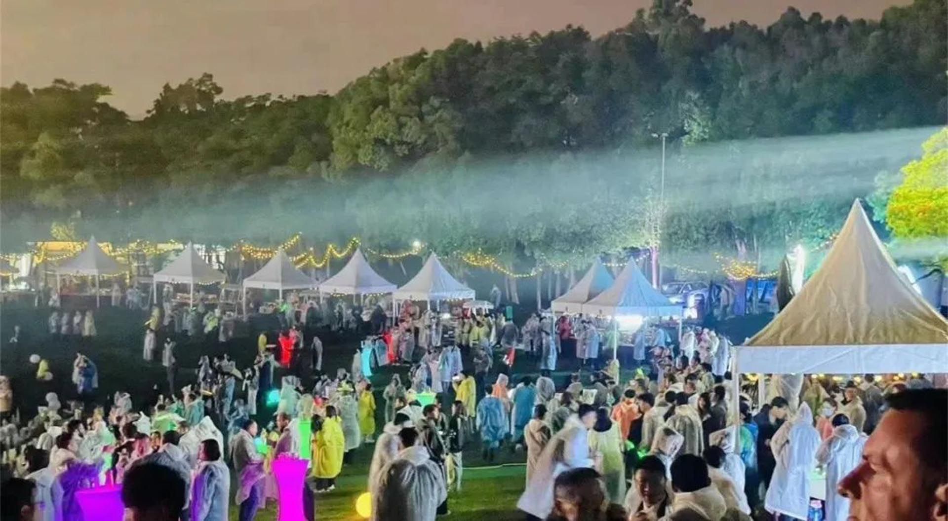 芜湖神山公园莲心舞台
