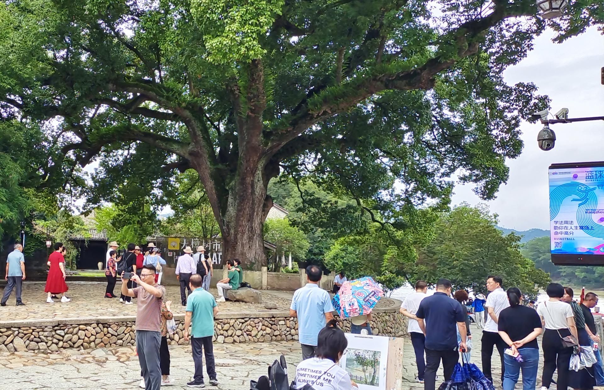 莲都区古堰画乡度假区微改造项目EPC总承包