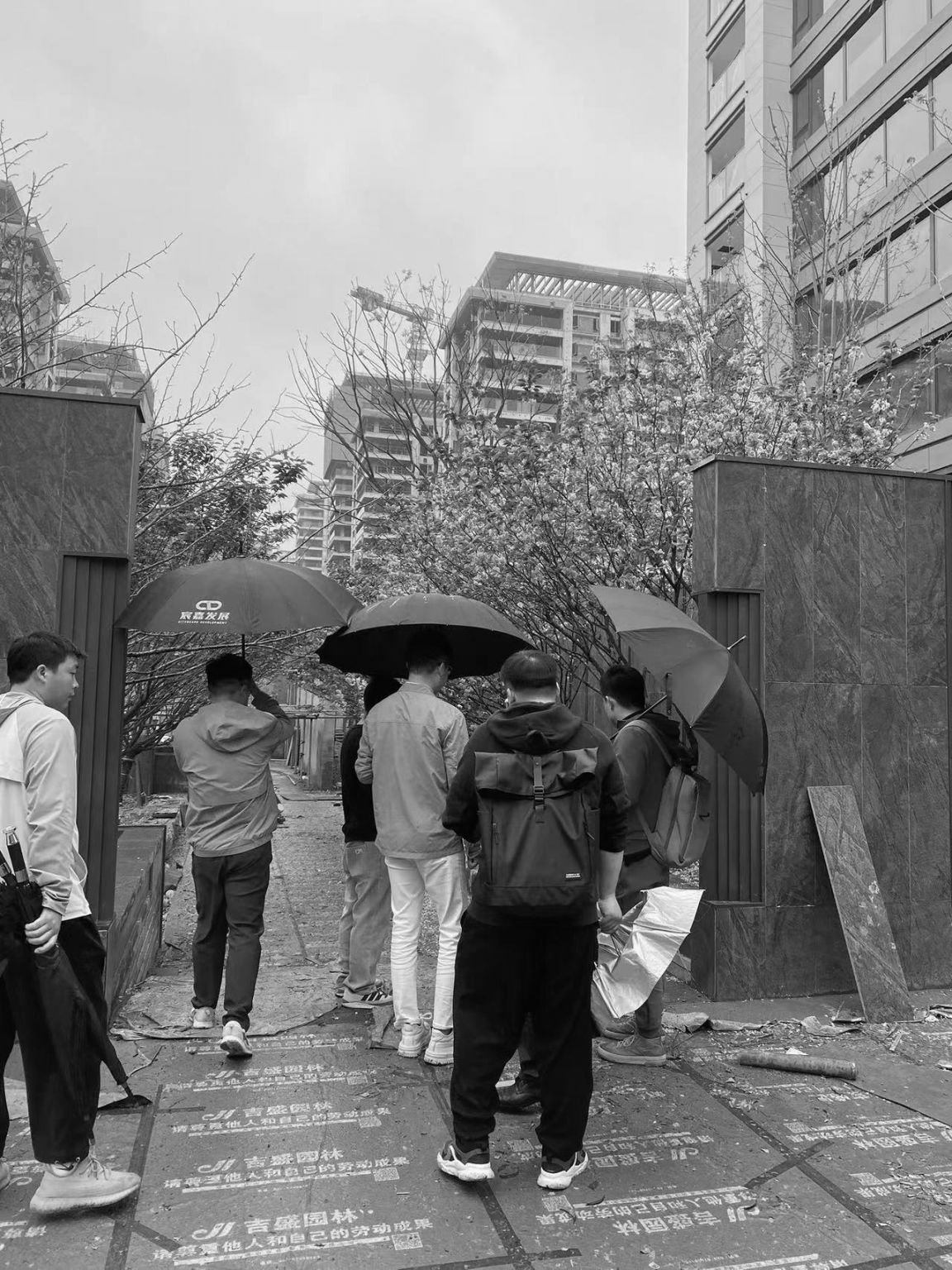 宸嘉发展长沙嘉臣道S24大区