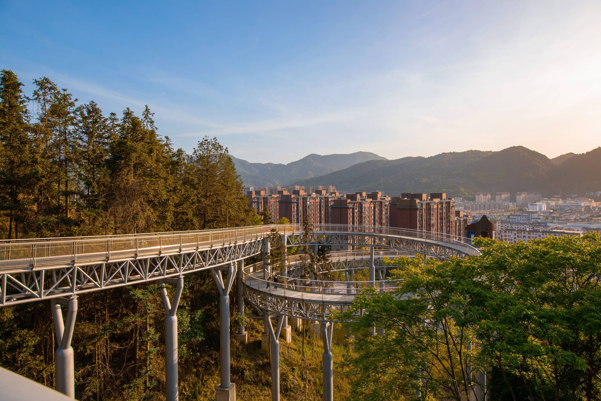 崇义城市森林空间