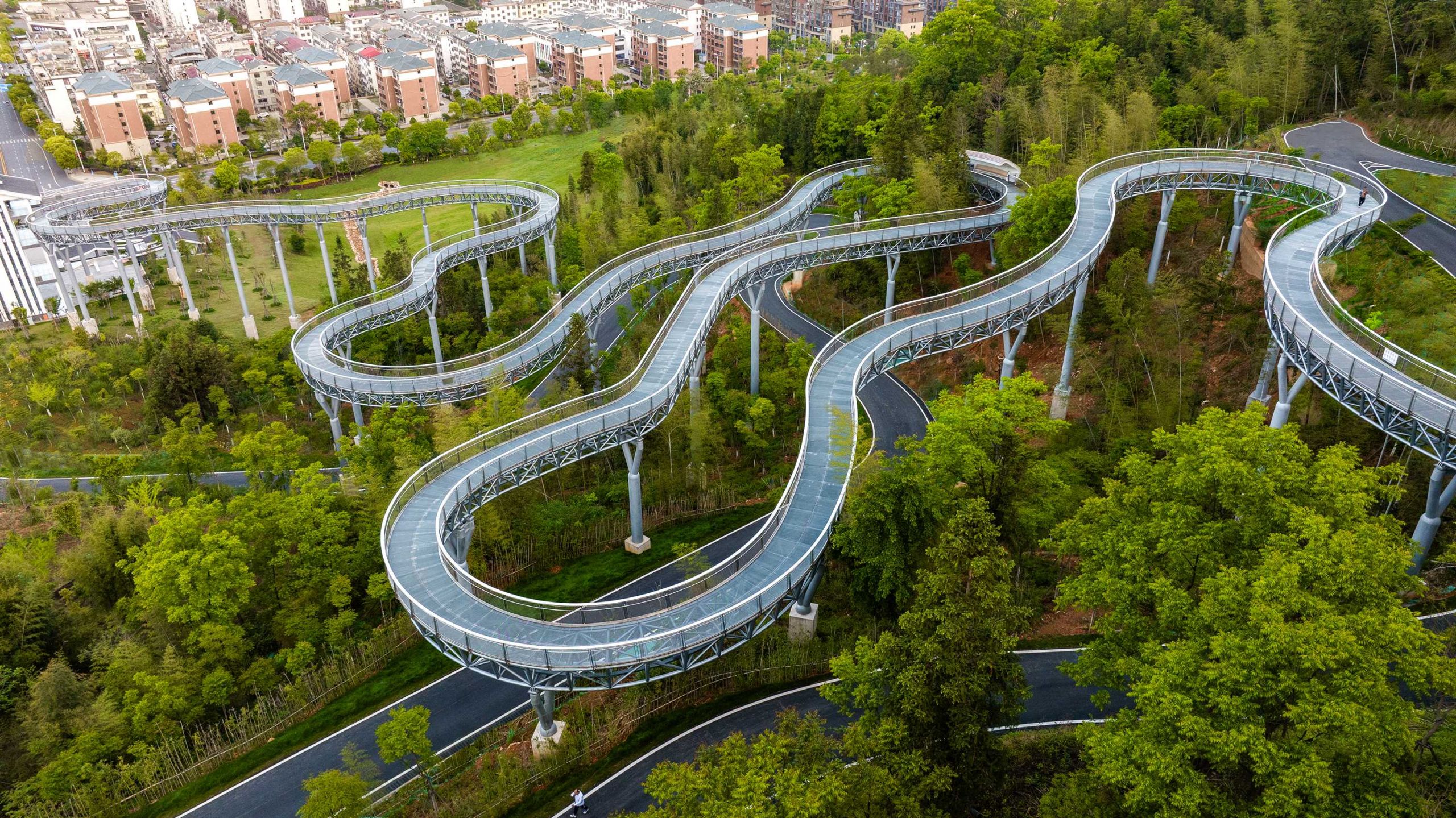崇义城市森林空间