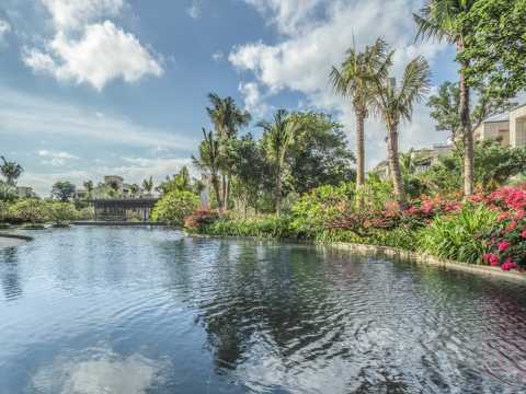 雅居乐清水湾云海听歌