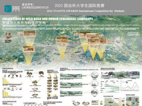 野猪与人类共存的生态景观