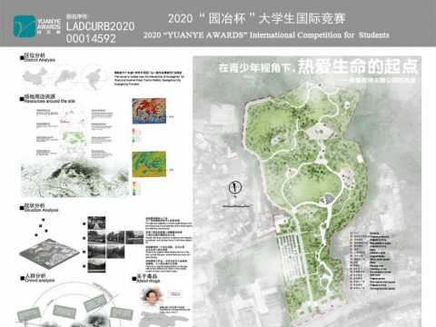 在青少年视角下，热爱生命的起点