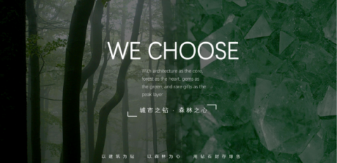 济南中建星光城市·云領