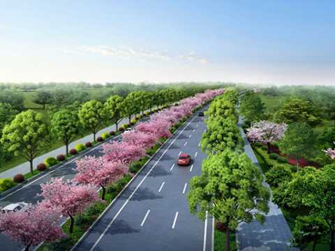 毕节市双山新区新双大道绿化深化设计