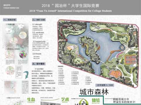 城市森林——钢筋混凝土中野蛮生长的绿洲