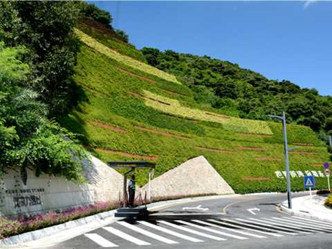深圳市汉京九榕台半山公馆垂直绿化项目