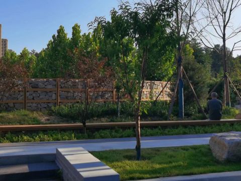 河间市小唐河带状公园