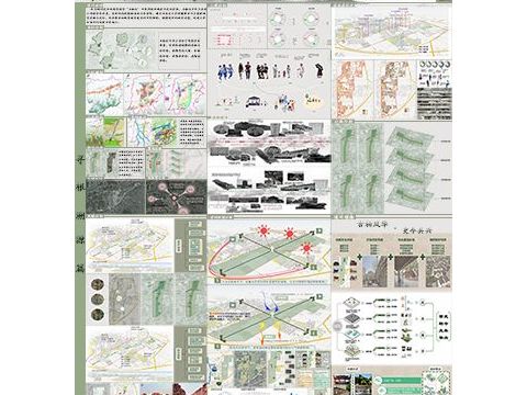 山庙一体，柏以兴城——华阴市古柏行片区西岳庙历史片区更新设计
