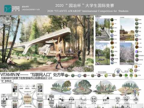 VITAMIN N2 ——“互联网人口”处方单