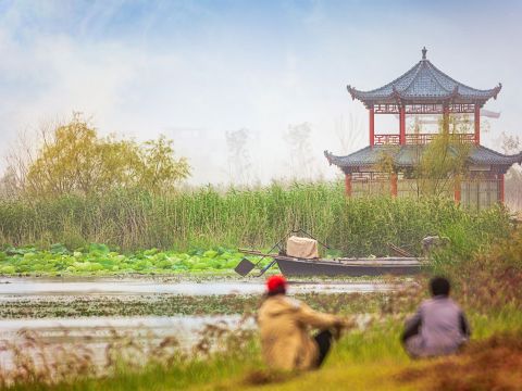 东平县东平湖（水浒古镇至泰安港老湖码头段）生态防护林建设项目