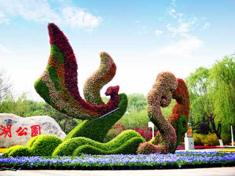 世园会核心区景观绿化工程绿雕项目