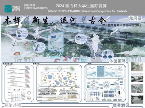 木樨蕴新生，运河慧古今