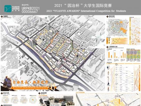 自由生长·无序之序