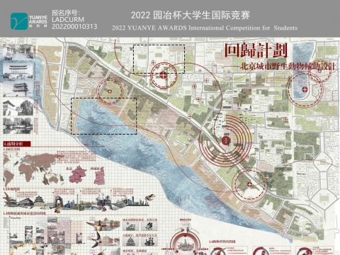 《回归计划》——北京城市野生动物辅助设计