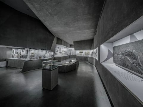 时境建筑 | 厦门英良石材自然历史博物馆