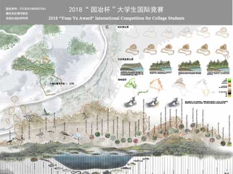 STCB2018000015网展图