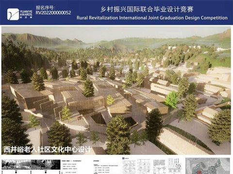 RV202200000052参赛作品