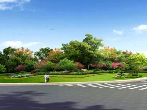 肥城市一级路两侧绿化工程