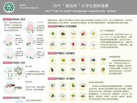 园冶杯-LADCUPB201900001780-白洞——模块化城市开放空间的自组织设计