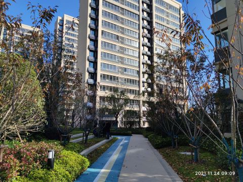 合肥金辉优步大道项目一标段景观