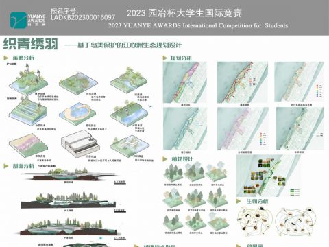 织青绣羽——基于鸟类保护的江心洲生态规划设计