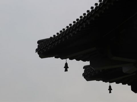 南京市浦口区凤凰山公园改造