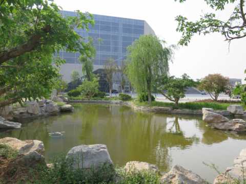 世博山东馆绿化工程