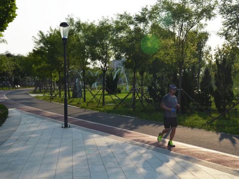 东营市东湖生态湿地公园工程