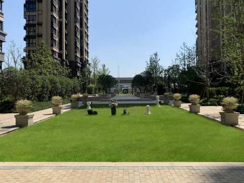 合肥新城北宸紫郡项目景观及园林绿化工程