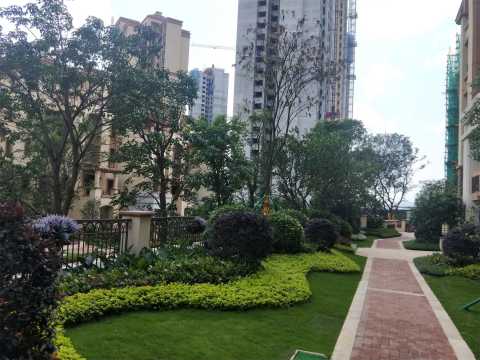 御金山花园二期非展示区园林景观工程