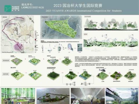 亚洲象漫游指南