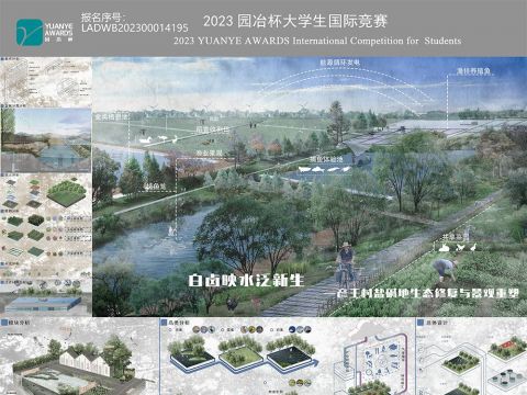 白卤映水泛新生