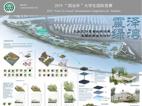 震泽绿湾——太湖东岸湿地水生态修复与生境涵养