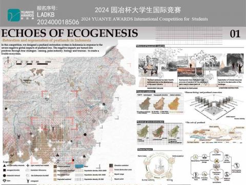 生态再生之声--基于印度尼西亚地区泥炭地修复与再生研究