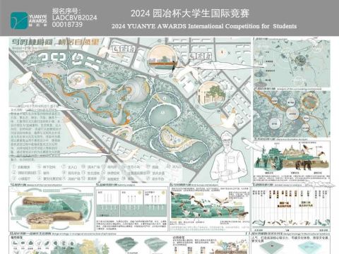 鸟鸣林樾间 栖居自然里