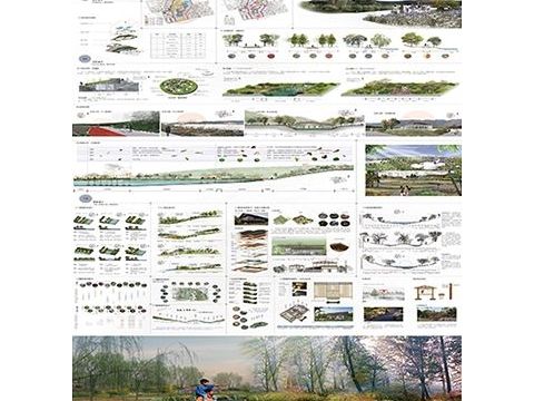 扶绥永兴湖景观湿地公园规划设计