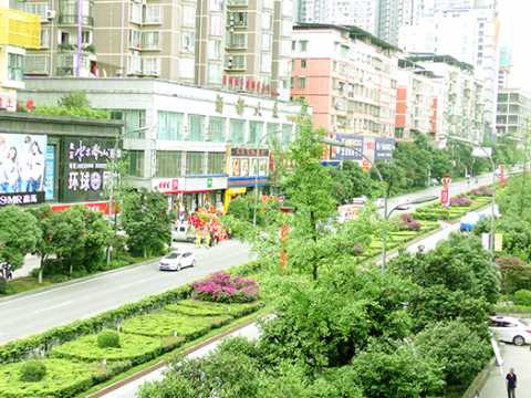 仁怀市城区绿化提升工程（含大坝、 二合、三合集镇区绿化）