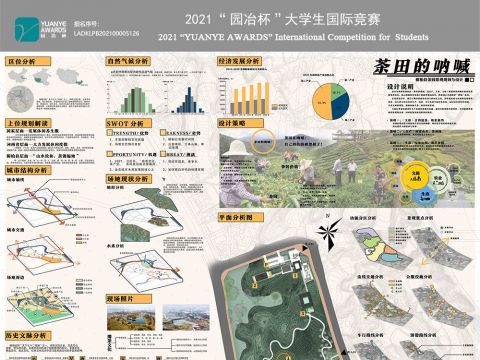 茶田的呐喊，河南桐柏生态茶田景观规划与设计