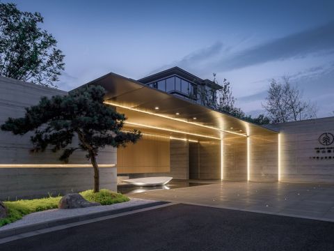 杭州大华春山椿树