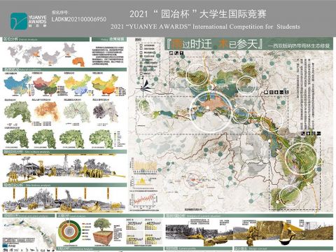 雨过时迁，木以参天--西双版纳热带雨林生态修复